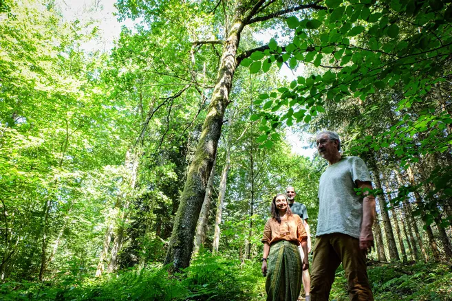 On parle de nous : Article de La Montagne du 9 juillet 2025
