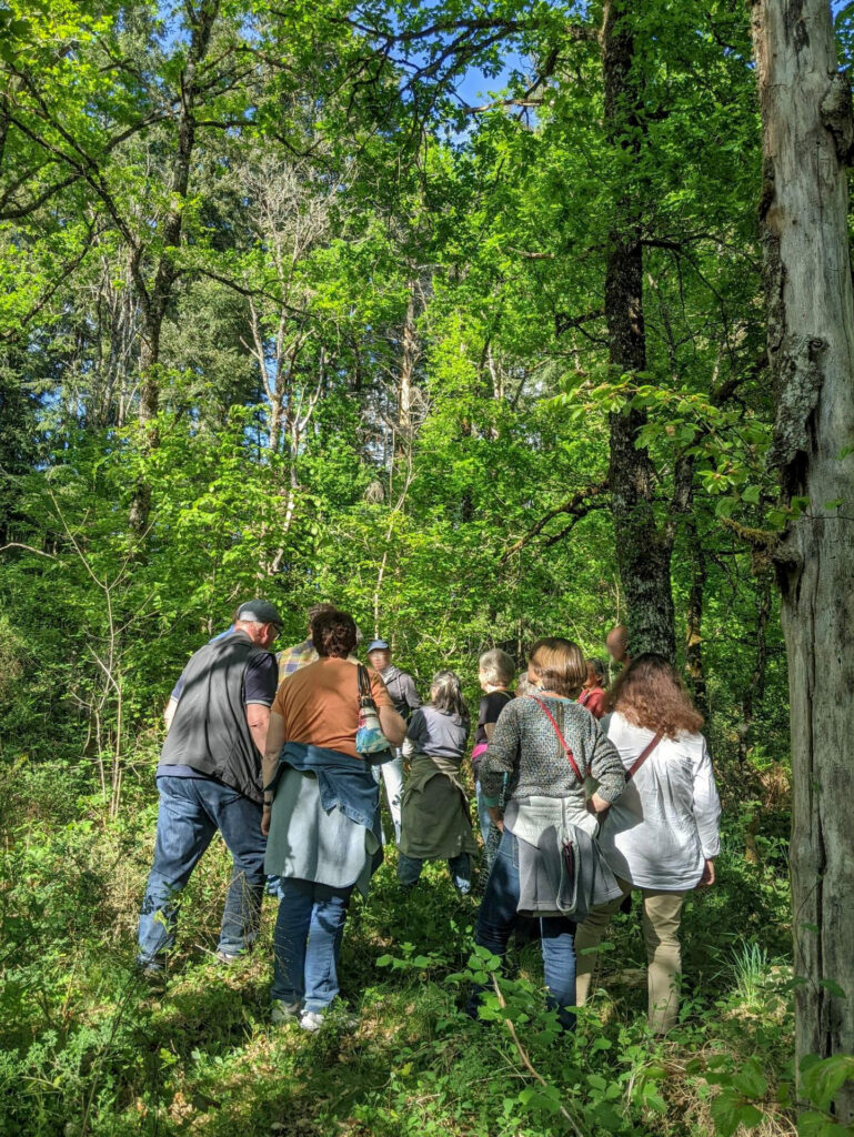 Visite de la forêt de mainsat après l'assemblée générale