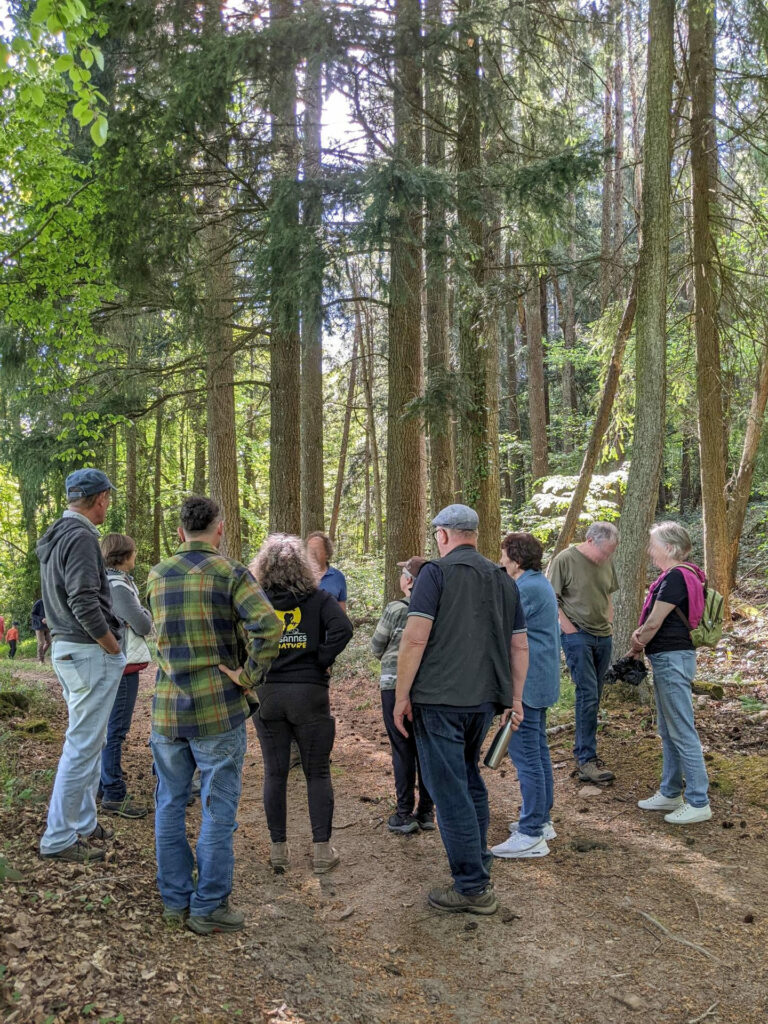 Visite de la forêt de mainsat après l'assemblée générale