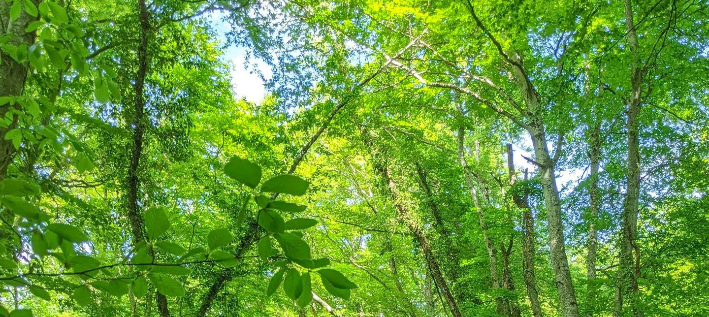 AG 2026 : Des associés impliqués et enthousiastes